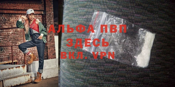 хмурый Няндома