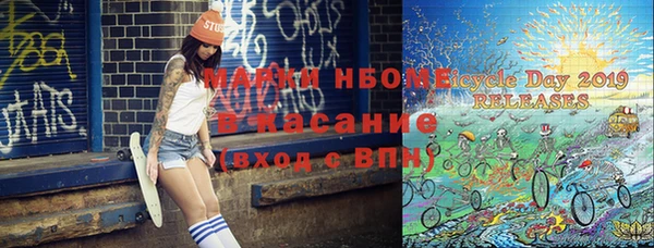 хмурый Няндома
