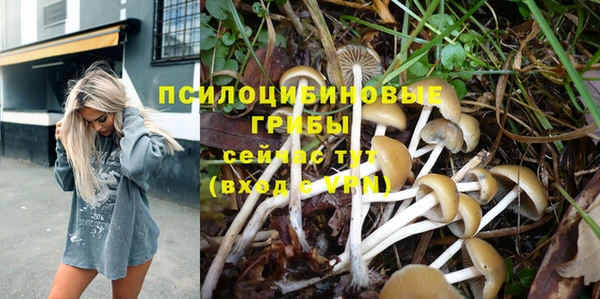 хмурый Няндома