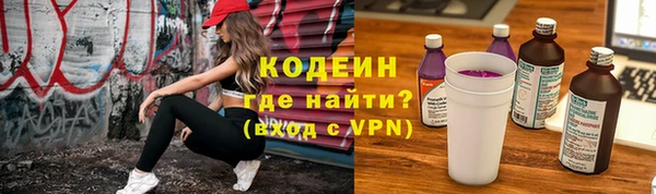 хмурый Няндома