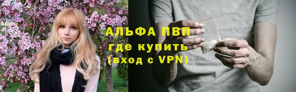 хмурый Няндома