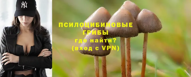 Галлюциногенные грибы MAGIC MUSHROOMS  Богучар 